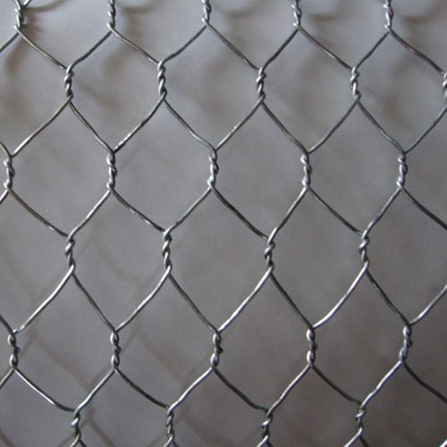 hexagonal-wire-mesh-1623235290-5852790